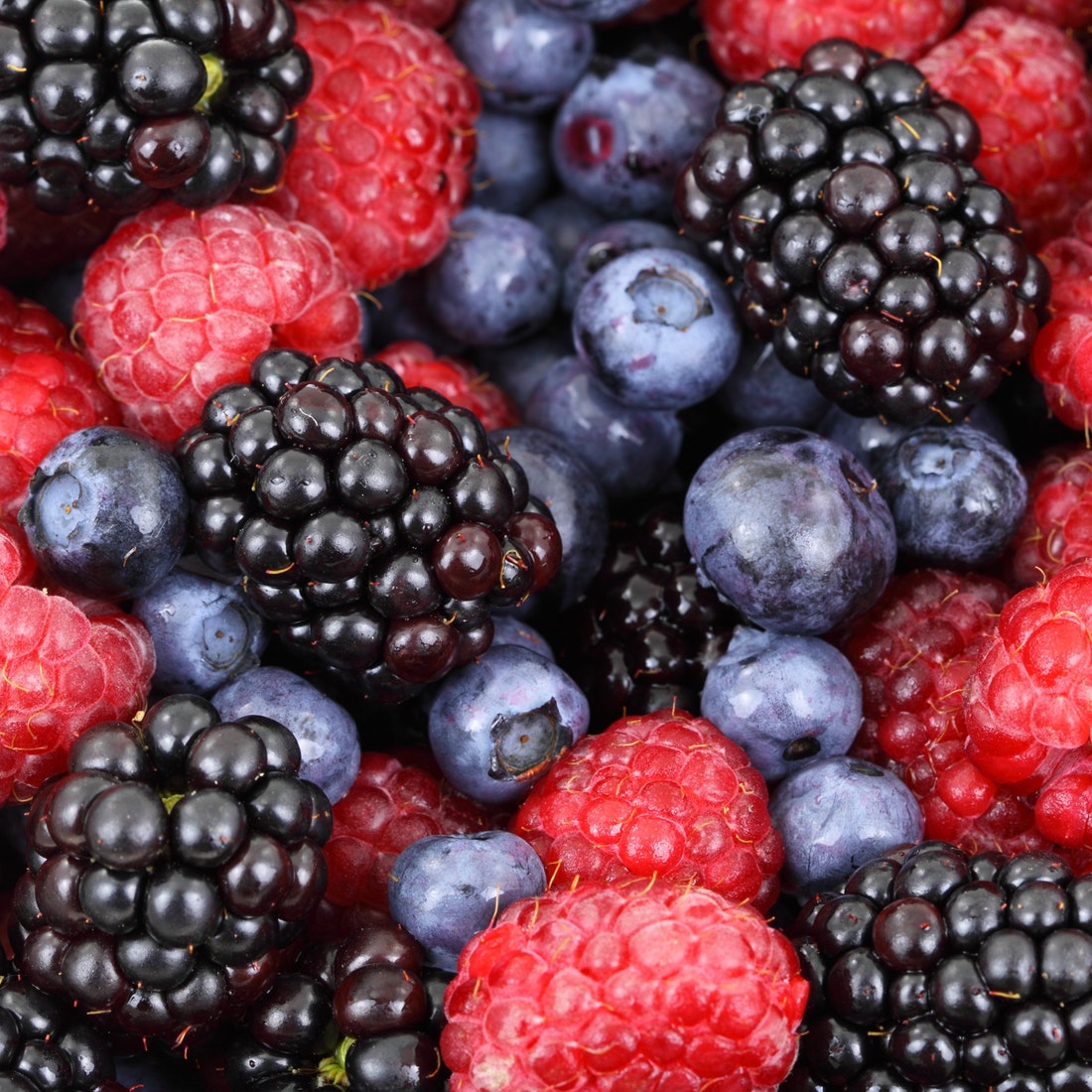 background-berries-berry-blackberries-87818.jpeg