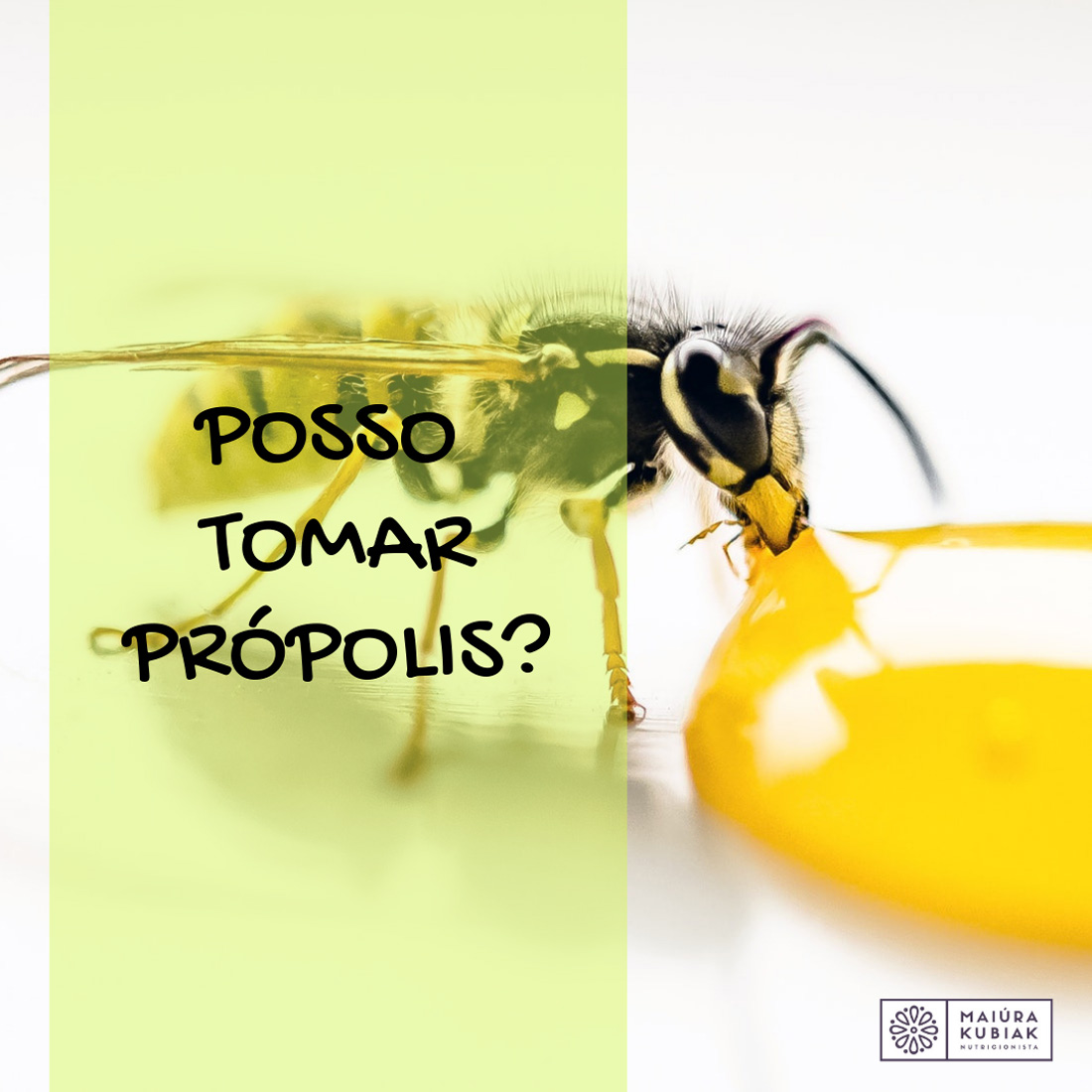 POST-TOMAR-PRÓPOLIS.jpg